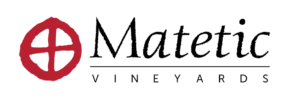 matetic logo copia